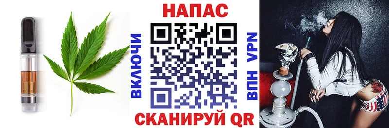 Cannafood конопля  Зима 