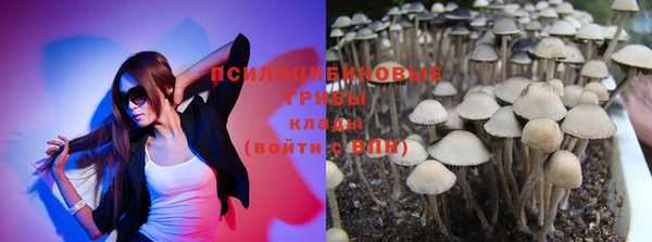 дурь Богданович
