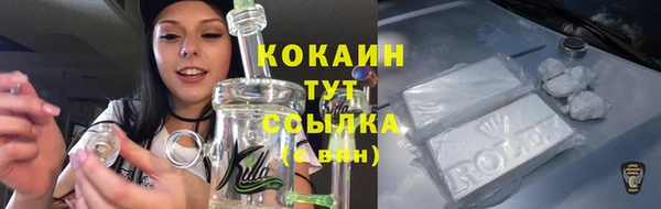 крисы Аркадак