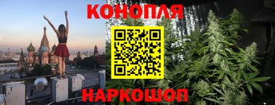прущие грибы Краснознаменск