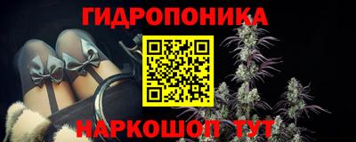 прущие грибы Краснознаменск
