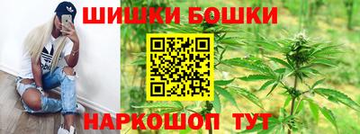 прущие грибы Краснознаменск