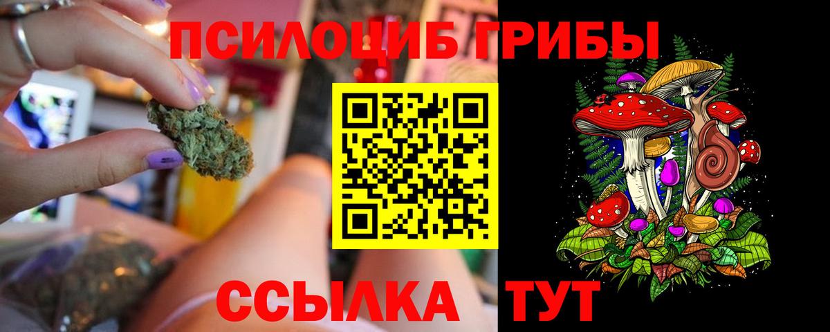 Галлюциногенные грибы мицелий Зима