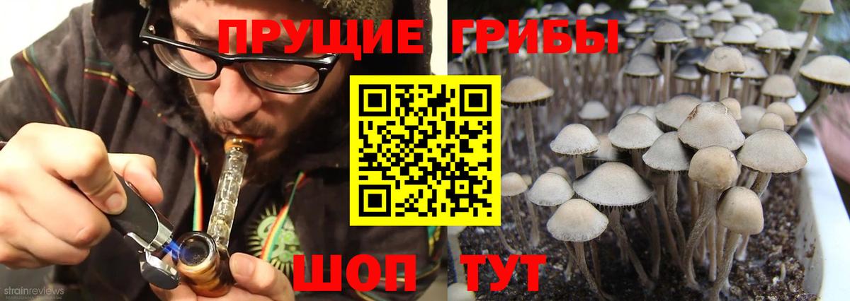 Псилоцибиновые грибы Magic Shrooms  Вход с VPN  Зима 
